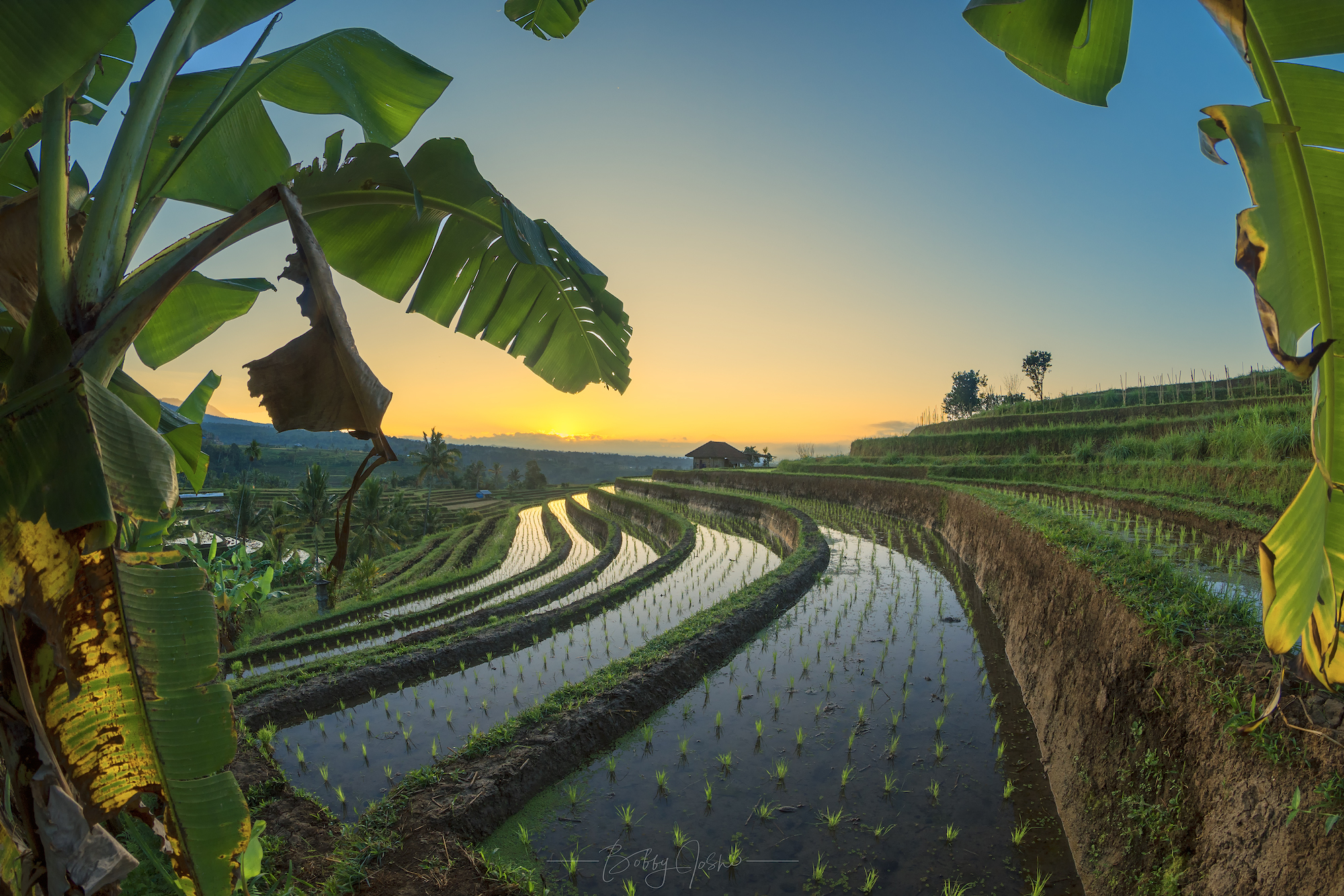 What's New in Photolemur 2.0: from subscription to license