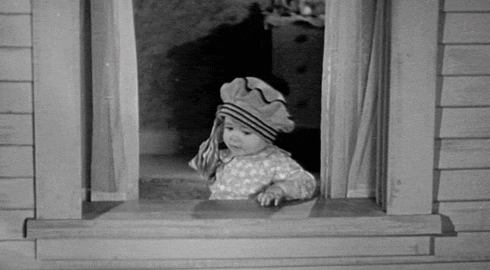 Photo Enhancement on Autopilot