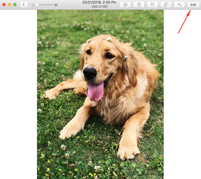 Using Photolemur as a Photos extension | Skylum Blog(2)