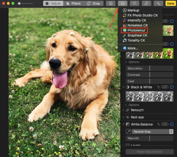 Using Photolemur as a Photos extension | Skylum Blog(3)