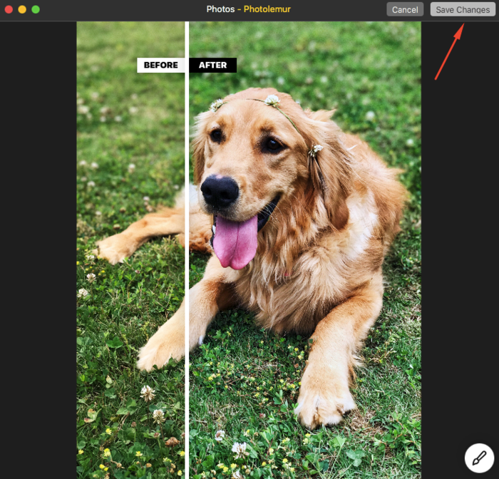 Using Photolemur as a Photos extension | Skylum Blog(5)