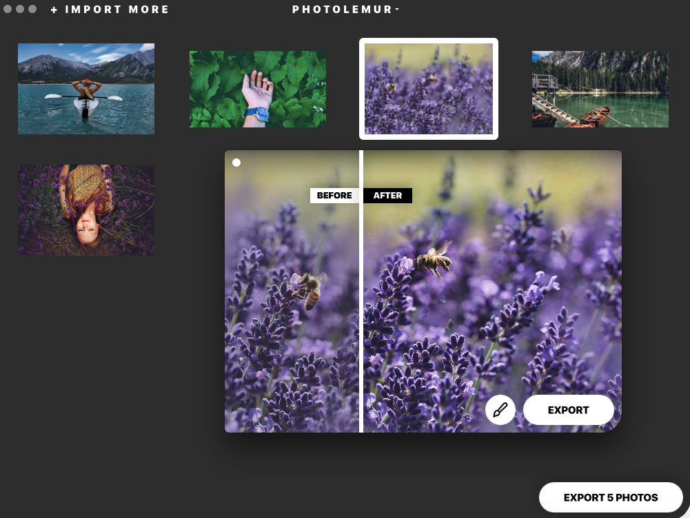 Exporting photos in Photolemur on Mac